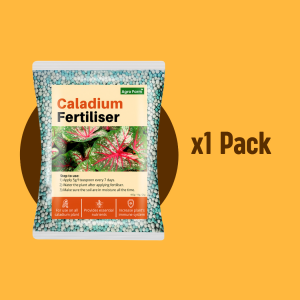 Agro Farm Premium Caladium Fertilizer / Baja Keladi / Baja Tumbuh