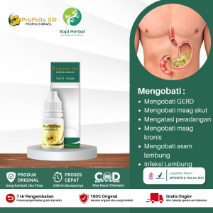 Obat Infeksi Lambung Obat Asam Lambung Maag Kronis Tukak Lambung Maag Akut Gerd - Propolis SM Brazil Asli Original 100%