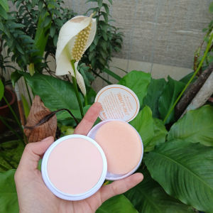 COMBO 2 HỘP Phấn Trang Điểm Bông Lúa Thái Lan 10gram