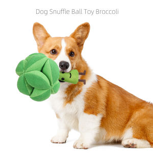 DY Loving New Dog Relief Sniffing Toy Leakage Plush Toy Broccoli Sounding Toy Rolling Ball Shaped Interactive Toy