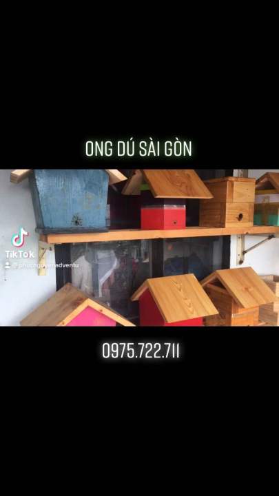 ong dú sài gòn