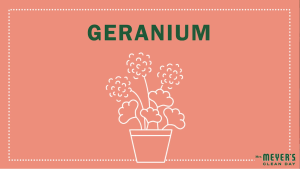 Mrs. Meyers Clean Day Multi-Surface Everyday Cleaner Geranium (16 oz / 473ml)