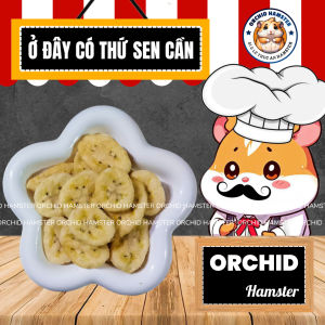 Chuối Sấy Cho Hamster/Sóc/Bọ/Nhím Bổ Sung Vitamin C - B6 Chất Sơ