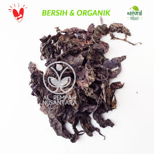 Daun Ungu Asli Kering 1kg Organik - Obat Herbal Wasir