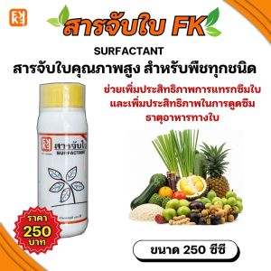 ถั่วลิสง ใบไหม้ ใบจุด รากเน่า โรคพืชต่างๆ จากเชื้อรา กำจัดด้วยแพนน่อน (แมนโคเซบ)ขนาด1กก.