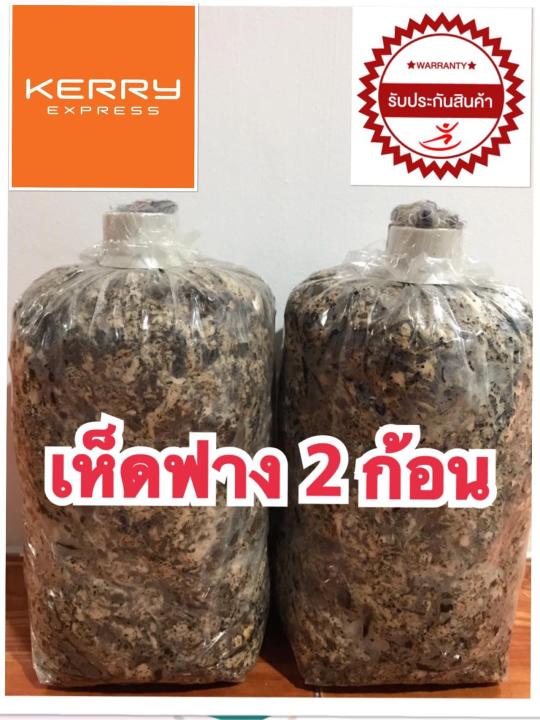 เชื้อเห็ดฟาง 2 ก้อน พร้อมคู่มือการเพาะเห็ดฟางสด
