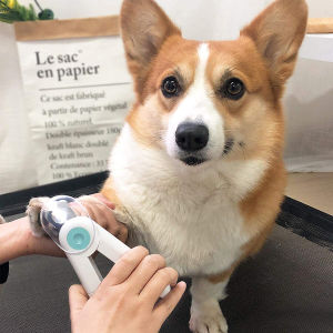 Lovinland Dụng Cụ Cắt Móng Cho Thú Cưng Dụng Cụ Chăm Sóc Đồ Cắt Móng Cho Chó Mèo Đèn LED Dụng Cụ Cắt Móng Chuyên Nghiệp Dụng Cụ Cắt Móng Thỏ Chải Lông Động Vật Phụ Kiện Thú Cưng Kèm Dũa Móng Dễ Dàng Vệ Sinh