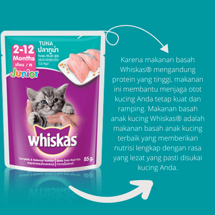 Whiskas makanan kucing basah wiskas wiskash pouch 80 gr murah