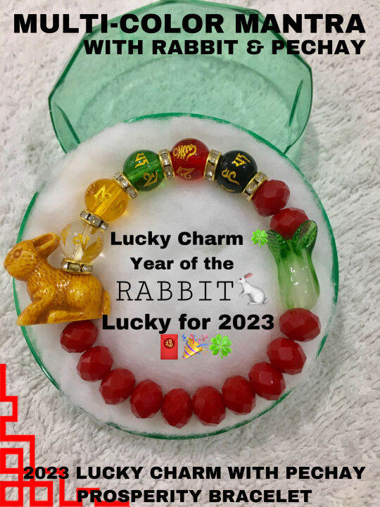 Year of the Rabbit for 2023 Multi color Mantra Lucky Charm