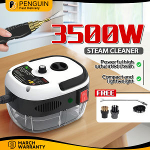 Steam Cleaner 3800W Portable Steam Cleaner High Temperature Pressurized Steam Cleaner Home Kitchen High Pressure Cleaner