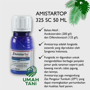 AMISTARTOP 325 SC 50 ML Original Fungisida Formula Sistemik ZPT Syngenta Obat Jamur Ampuh