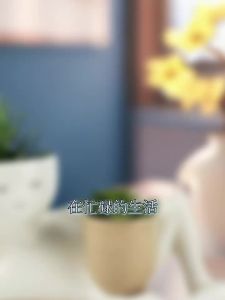 AU New stylish and minimalist flower pot a decorative piece for home and desktop featuring succulent plants and featuring a patented design