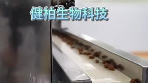 TK    Female Culturelle LGG   Spot Goods   Wholesale Manufacturer Hot Sale VAGINAL uro