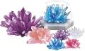 4M Steam Deluxe Crystal Growing Science Kit ชุดของเล่น เสริมทักษะ วิทยาศาสตร์ สำหรับ เด็ก 10 ปีขึ้นไป. 