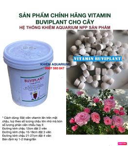 [TẶNG 35V] Vitanmin Buviplant  phân bón TAN CHẬM cho cây cảnh (GÓI 100V)