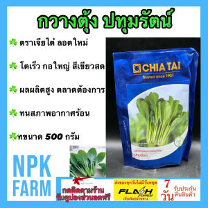 เจียไต๋ กวางตุ้ง ปทุมรัตน์ หมดอายุ 03/2570 ขนาด 500 กรัม ลอตใหม่ งอกดี โตเร็ว แข็งแรง กอใหญ่ สีเขียวสด ผลผลิตสูง ปลูกได้ทั้งปี ระยะเก็บ 30 วัน