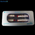 4 Vĩ Răng Giả Nhựa Composite Màu A2 Đủ Bộ 28 Răng Dùng Để Học Mài, Đính Đá, Tháo Lắp Labo Nha Khoa. 