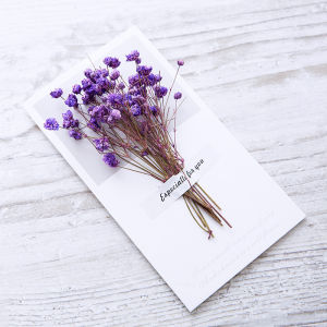 Dried Flower Blessing Card Mother Day Birthday Party Blessing Card Handmade DIY Star Dry Flower Card
