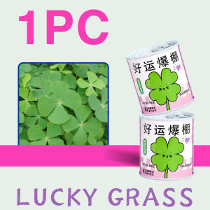 Office green plants creative potted plants plants canned