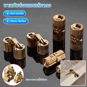 อุปกรณ์ฮาร์ดแวร์ประตูและหน้าต่างบานพับที่มืด บานพับซ่อนรูปตัวอักษรทองแดงบริสุทธิ์