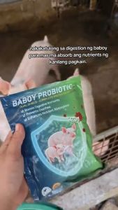 [BUY 1 GET 2] Baboy Probiotic Feed Supplement Supports Digestion Better Nutrient Absorption & Reduced Feed Waste