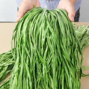 500gr Rau Tiến Vua (cần biển) khô xanh non giòn ngọt đủ chất xơ vita min cho cơ thể món quà tuyệt vời từ thiên nhiên - Thiên Thảo Organic