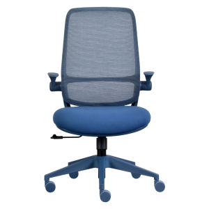 TAKEASEAT | AURIX Lite Ergonomic Mesh Office Chair 9 Stylish Matching Colour Base Flip Up Armrest Mesh Breathable Backre