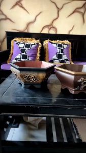 Pot Oval Naga 40x27cm: Pot Bonsai Berkualitas Tinggi