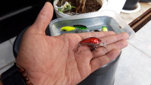 Umpan minnow lure Crankbait umpan Mengambang Floating 3.8Gr Red