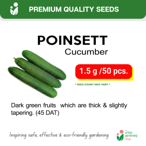 High Quality Seeds (Cucurbits)  Upo Ampalaya Patola Kalabasa Pipino