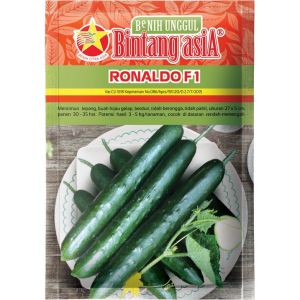 Benih Mentimun Timun RONALDO F1 20 Gram Cap Bintang Asia PT Benih Citra Asia Type Timun Jepang Cocok Di Dataran Rendah Sampai Menengah