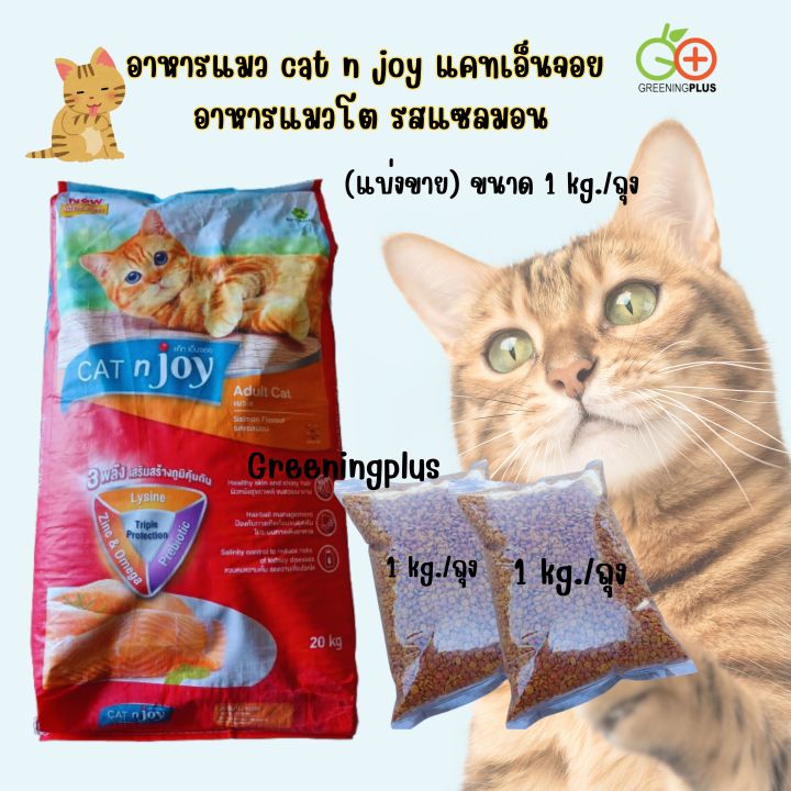 cat n joy อาหารแมวโต รสแซลมอน 1 กิโลกรัม
