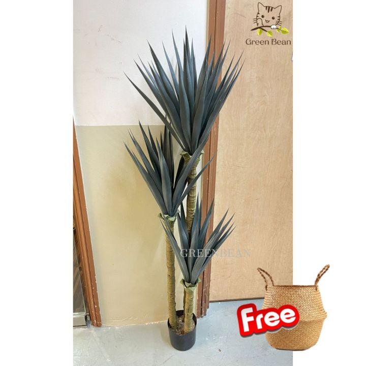 [SG SELLER] Artificial Plant Artificial Yucca Plant / Agave Sisalana Large Potted Plant Fake