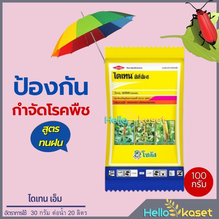 ยากำจัดเชื้อรา ไดเทนเอ็ม แมนโคเซบ 100 กรัม สูตรทนฝน