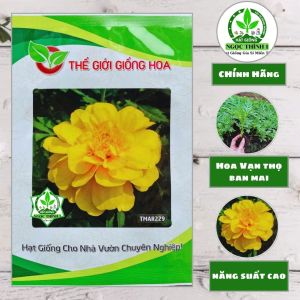 Hạt Giống Hoa Vạn Thọ Ban Mai TMAR229 THẾ GIỚI GIỐNG HOA (Gói 100 hạt) - Hoa màu vàng (Màu chuẩn)
