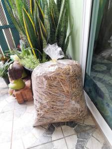 ฟางข้าว ฟางแห้ง ปลอดสารเคมี บรรจุ 1 ก.ก. ใช้เพาะเห็ดฟาง 1 ตะกร้า และใช้คลุมดิน ลดการระเหยของน้ํา ทําปุ๋ยหมัก