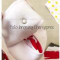 Paket 4pcs Baby Bib Slabber Celemek Makan Bayi Segitiga Anti Basah Slaber Bayi Bibs Bahan Halus Meresap Cepat Kering Premium Cotton - Set of 4. 