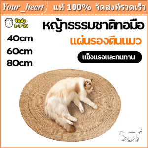 พรมลับ ลับเล็บแมว ที่ฝน 3 รูปแบบ ขนาดใหญ่พิเศษ