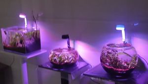 โคมไฟในตู้ปลา USB LED ปรับความยาวได้ ปรับได้ 3 สี สำหรับตู้ปลาทรงกลมและสี่เหลี่ยม กำลังไฟ 5 W E40