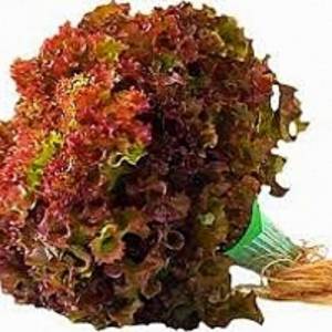 เรด คอรัล red coral 10000 pills(ไม่เคลือบ)