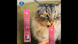 Nine Lives Cat Creamy Treat Sticks 15g (10 Pcs)