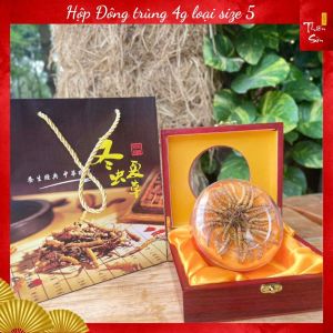 (Tặng sâm + tặng 100g kỷ tử) Hộp tròn 4g Đông trùng hạ thảo tư nhiên Tây Tạng hộp quà tặng