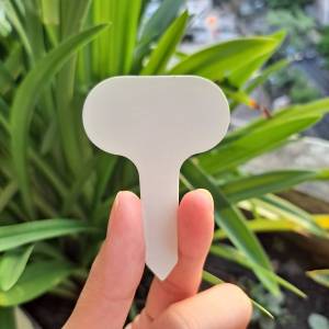 ไม้ป้าย แพ็ค 100 แพ็ค 10 กันน้ำ ดีไซน์สวย ป้ายเขียนชื่อ เลือกจากหลายสี พร้อมส่ง