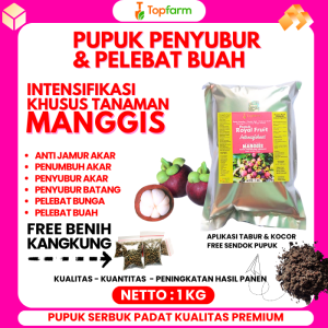 Pupuk Booster Manggis / Pupuk Untuk Pohon Manggis / Pupuk Buat Pohon Manggis / Pupuk Buat Pohon Manggis / Obat Pohon Buah Manggis