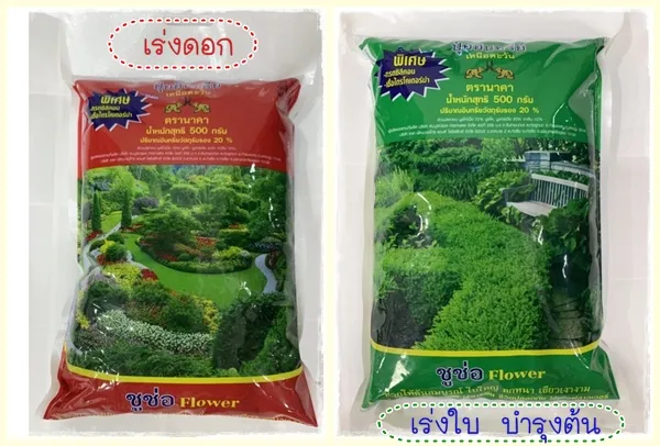 ปุ๋ยอินทรีย์ผสมไตรโคเดอร์มาและกรดซิลิคอน บำรุงต้น เร่งดอก