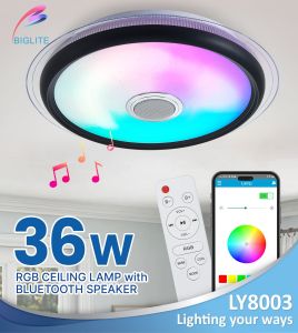 BIGLITE LY8003-36W*2 LED BLUETOOTH SMART LIGHT CEILING