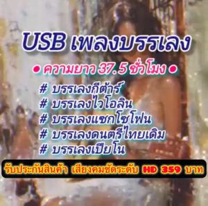 แฟลชไดร์ฟแท้ USB - MP3 ดนตรีผ่อนคลาย เพลงบรรเลงกีต้าร์ ไวโอลีน แซกโซโฟน เปียโน ดนตรีไทยเดิม 37.5 ชม.