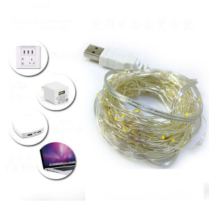 LED strip light holiday light 2 meter 20 led beads silver wire with USB plug