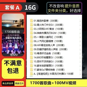 Lossless Popular New Songs Hot List Car dj Song MP3 Video DJ Music Rock USB Flash Drive u Disk Download-Free