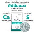 ยิปซัมบอล  แคลเซียมซัลเฟต (ชนิดเม็ด) ใช้ทางดิน  ช่วยบำรุงรากให้แข็งแรง ฟื้นฟูระบบรากได้รวดเร็ว (แบ่งขาย). 